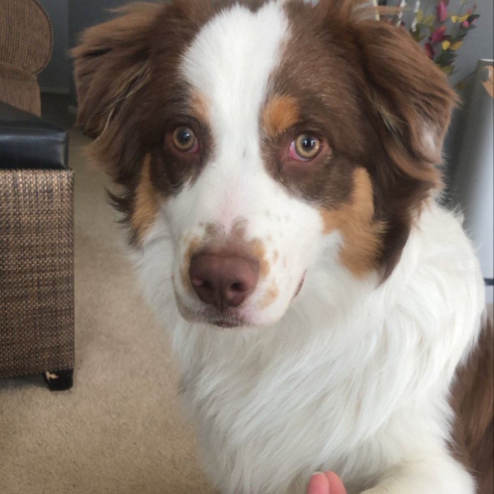 Meet your Posher, Madalena_